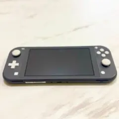 Nintendo Switch Lite グレー 本体　HDH-001