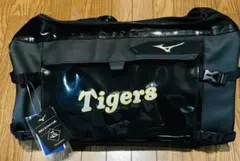 Item thumbnail for item b915513b-f98d-4d5a-8cf3-9f98189e6e17