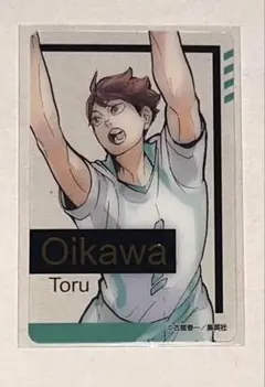 【最安値】ハイキュー ファンパーク 箔押しクリアカードコレクション 及川徹