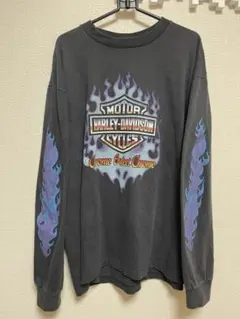 HARLEY DAVIDSON ブルーフレイム　長袖 ロングTシャツ