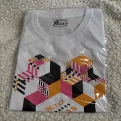 Item thumbnail for item cab51011-417b-4f14-bbb9-23fffd8ce660