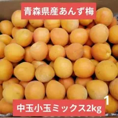 青森県産あんず梅 中玉小玉ミックス 2kg⚠️翌日到着の方限定！のサムネイル