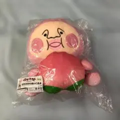 キャラ福くじ こびとづかん A賞 もちもちBIGぬいぐるみ カクレモモジリ