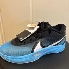 シ*ン様 NIKE、ズームフリーク6、26.5センチ