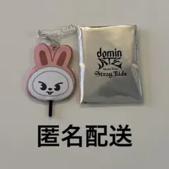 【日本グッズ】StrayKids SKZOO リービット ミニうちわキーホルダー