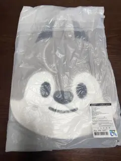 straykids SKZOO うちわケース ウルフチャン バンチャン　スキズ