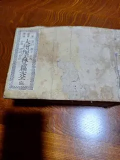 Item thumbnail for item 7dfa18f7-a295-4a77-a788-025208a24f44