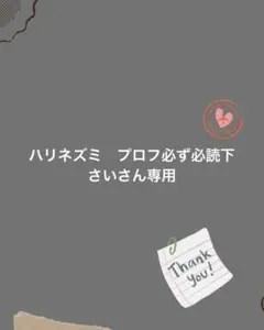 ハリネズミ　プロフ必ず必読下さいさん専用