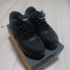 Nike Air Max / ナイキ エアマックス 28cm