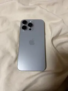 市*堀様 Apple iPhone 15 Pro Max 256GB