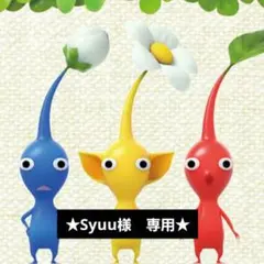 ★syuu様　専用★