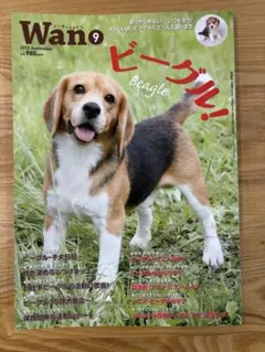 Wan 2012年9月号 ビーグル特集号