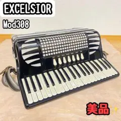 2026年最新】EXCELSIOR アコーディオンの人気アイテム - メルカリ