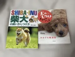 Item thumbnail for item 2ccca7bf-cadb-4fbd-86b7-8b0b4752493b