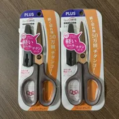 Item thumbnail for item 8891768c-11e8-4b47-8a3e-dd5f95bafb76