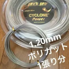 pro's pro CYCLONE Power 1.20mm 12m 1張り分