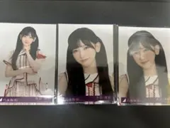 乃木坂46 生写真 ビリヤニ 封入 池田瑛紗