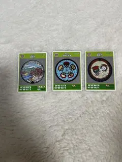 マンホールカード 3種類セット　　盛岡市