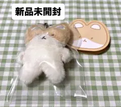 EXO ベッキョン トレギ TEOLAEGI キーリング 新品未開封