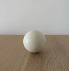 林友子さん　球