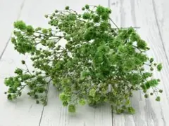 ぽん様 リクエスト 3点 まとめ商品－100