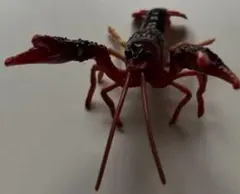 ChocoQ アメリカザリガニ　説明書付