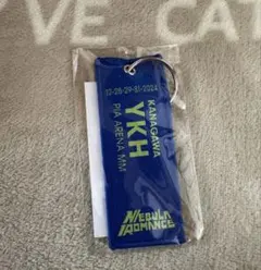 2025年最新】Perfume フライトタグ 横浜の人気アイテム - メルカリ