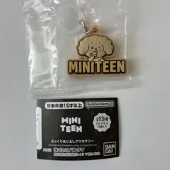 MINITEEN ぷっくりめじるしアクセサリー ドギョム DOA