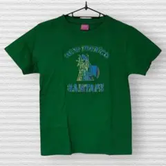 古着 NEW MEXICO SANTAFE Tシャツ 緑色 Mサイズ