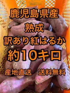 鹿児島県産　熟成訳あり紅はるか　箱込　約10キロ　t