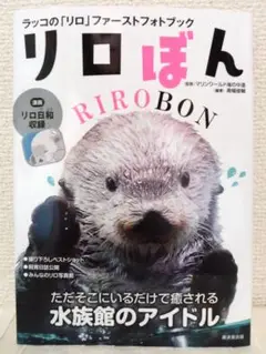 ラッコ リロ グッズ ラッコのリログッズを大紹介！マリンワールド海の中道オンライン
