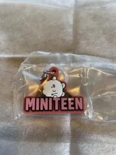 PPYOPULI ピョプリ　ミニティーン　MINITEEN めじるしアクセサリー