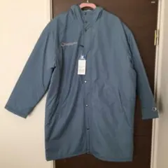 Item thumbnail for item 10d2e2bd-22e3-4183-bfb7-432cb57c541d