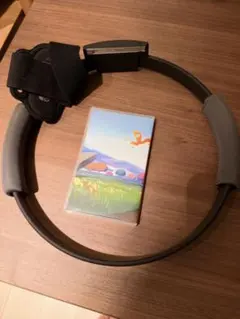 Nintendo Switch リングフィット アドベンチャー