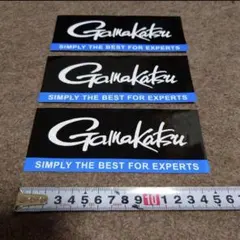 Item thumbnail for item 149d95fa-900f-4e9b-a0c5-da909cff31f6