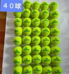 空気十分　硬式テニスボール　ダンロップ　St.JAMES　40球　高耐久　9月⑥