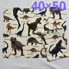 恐竜柄 ランチマット 30×40 3点セット ハンドメイド - メルカリ