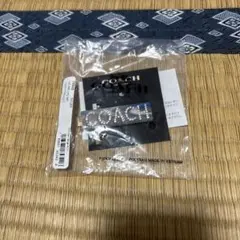 COACH 헤어 클립 라인 스톤