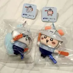 치이카와 × ANA 마스코트 모모가 헌책방 씨