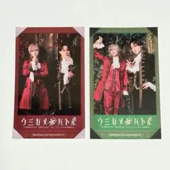 岡本信彦　狩野翔　チェキ風カード　ウミガメバトル　⑨