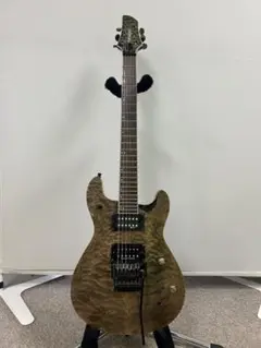s*n様 FERNANDES APG-85S／フェルナンデス／サスティナー／エレ 2025年最新】apg 85s fernandesの人気アイテム - メルカリ