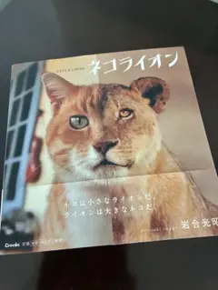 ネコライオン 岩合光昭
