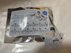 阪神タイガース 外野ショップ限定 前髪クリップ　小幡竜平
