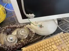 iMac G4
