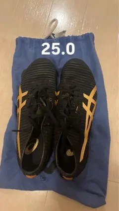 2025年最新】アシックスソニックスプリントエリート2の人気