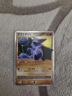 グライオン 対戦スターターパック ヒードランVSレジギガス