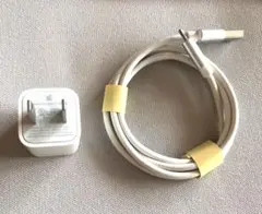 Apple製ACアダプタとlightningケーブル1m