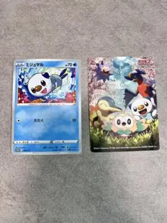 ミジュマル　ポケモンバトルトレイン　プロモカード ポケモンカード ミジュマル ポケモンバトルトレイン 080/BW-P