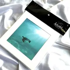 Item thumbnail for item a8df5ae0-9856-42bc-9538-b75c69f9c6f9