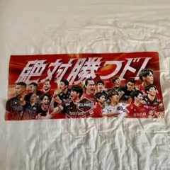 ウルフドッグス名古屋　応援タオル